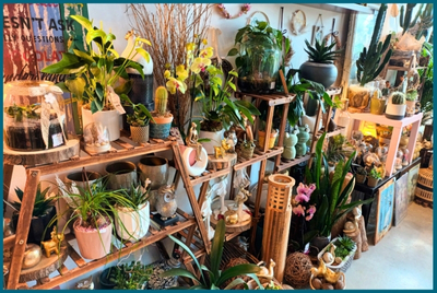 L'Arrosoir - Fleuriste à Locquirec